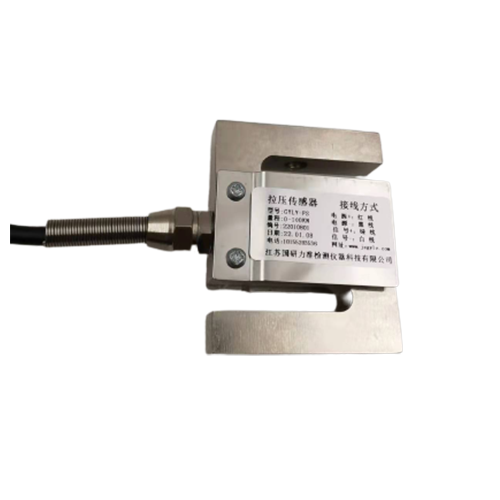 GY-FS型 拉压力标准测力仪